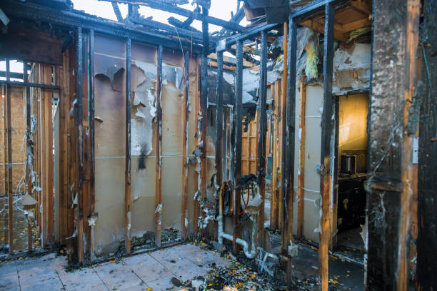 Professional Smoke Damage Removal technician working in Harristown, IL